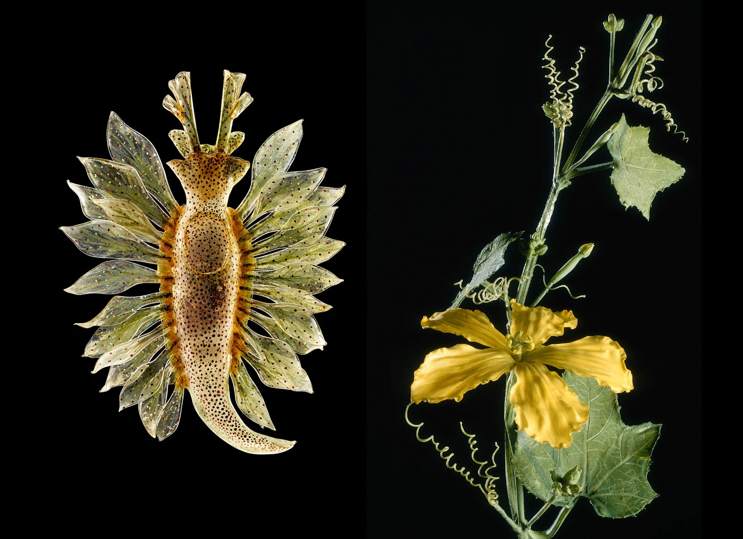 Конвейер деторождения, мозг мыши за штурвалом и другие новости с переднего края биотеха - 3 Конвейер деторождения, мозг мыши за штурвалом и другие новости с переднего края биотеха - 3