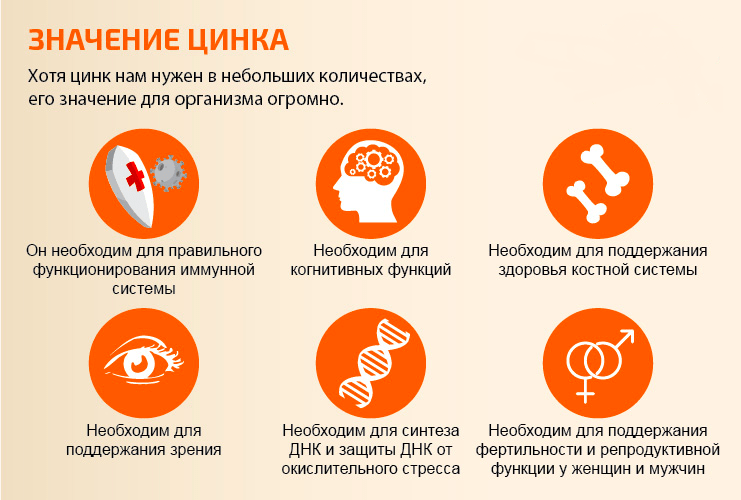 Цинк. Как его дефицит влияет на память и настроение - 5
