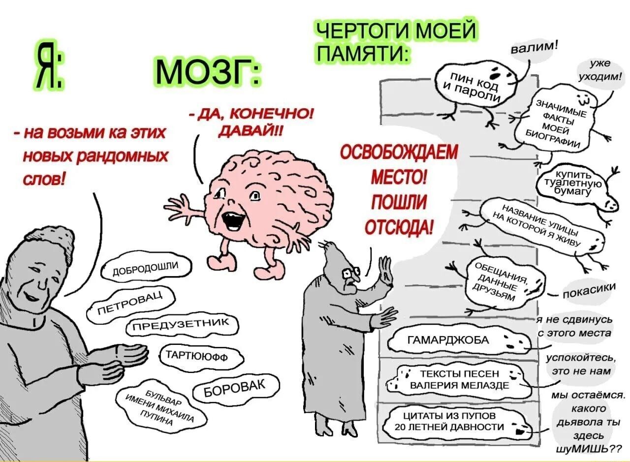 Цинк. Как его дефицит влияет на память и настроение - 1