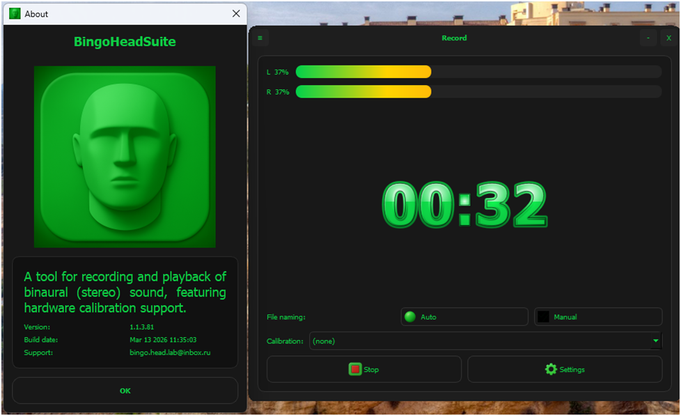 Интерфейс приложения BingoHeadSuite для записи бинаурального звука