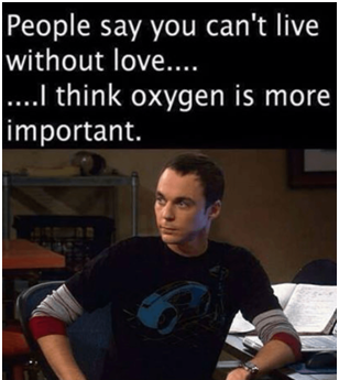 Критерии разума человека, с точки зрения одного программиста - 2 2