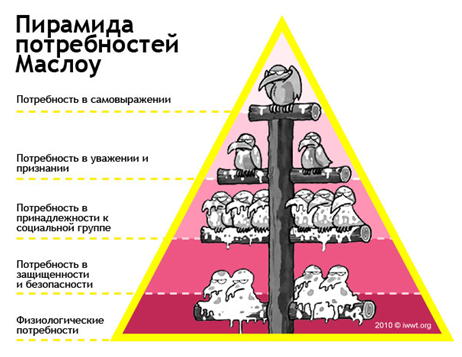 Критерии разума человека, с точки зрения одного программиста - 5 5