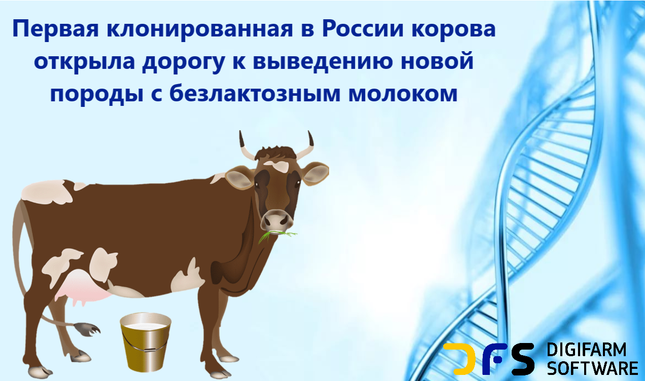 В России законодательно запрещено клонирование человека (ФЗ № 54 от 2002 года, ФЗ № 30 от 2010 года) с формулировкой в пояснительной записке к законопроекту: «клонирование человека встречается с множеством юридических, этических и религиозных проблем, которые на сегодняшний день еще не имеют очевидного разрешения»