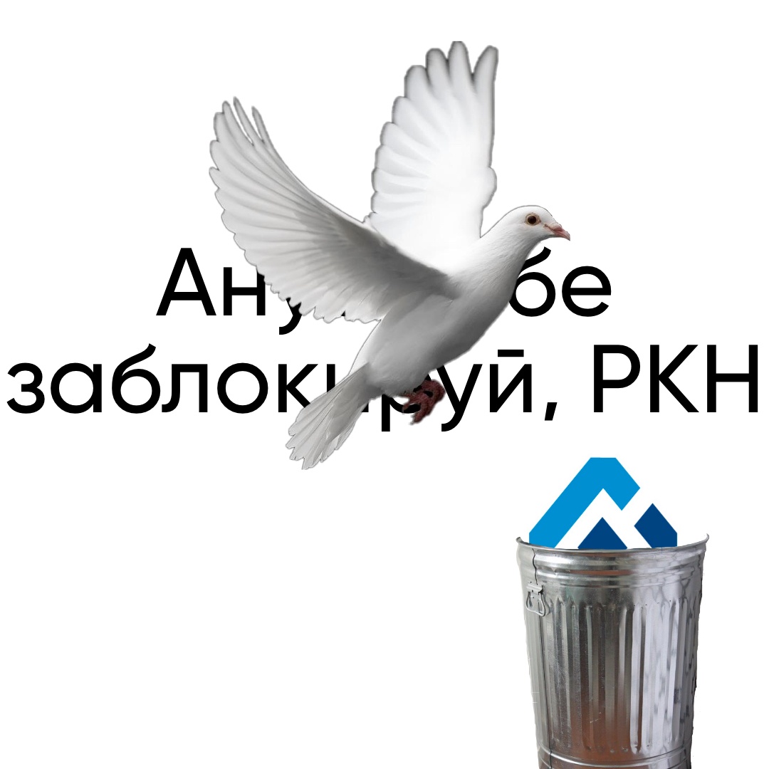 база? база.