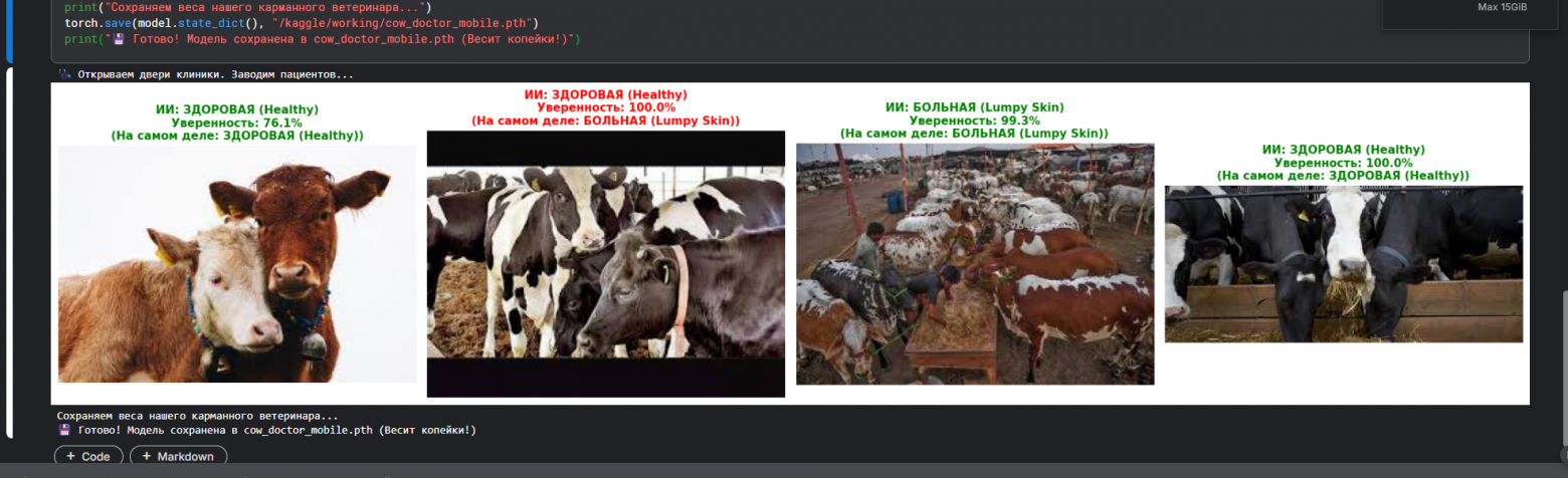 От вет-ИИ для коров до имперского глянца: хардкорный MLOps на бесплатных GPU - 1