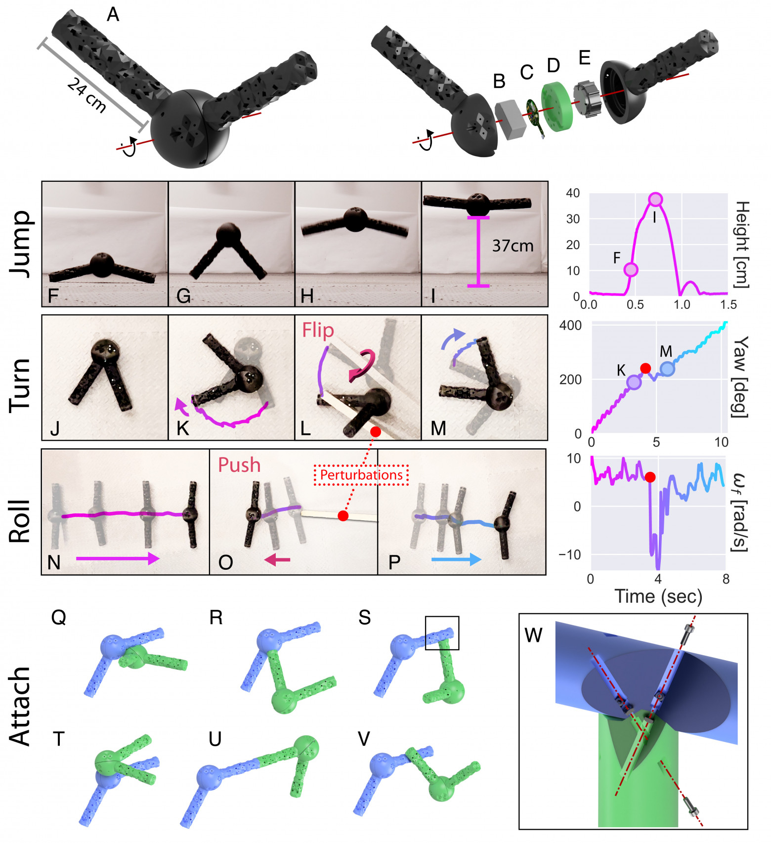 Каждый модульный блок состоит из двух звеньев и шарнирной сферы (A). Внутри сферы находится батарея (B), специальная печатная плата с встроенной электроникой обработки, датчиков и связи; (C), держатель печатной платы (D) и двигатель (E). Звенья могут свободно вращаться на 360° вокруг оси вращения, приводимой в движение двигателем. Используя эту единственную степень свободы, модуль может взлететь в воздух (F–I), повернуться на месте (J–M) и катиться вперед (N–P) по поверхности. Выученная стратегия поворота остаётся неизменной при переворачивании (L), сохраняя то же вращение по часовой стрелке (M). Выученная стратегия качения оказывает сопротивление при отталкивании назад (O), быстро тормозя и возобновляя движение вперёд (P). Один модуль может соединяться с другим в трёх ориентациях (повороты на 120°) в 18 точках соединения вдоль его шарнира и звеньев, что дает 435 различных вариантов двухмодульных тел (подмножество которых показано на рисунках Q–V). Док-станции крепятся с помощью гаек и болтов (W) и спроектированы таким образом, чтобы выдерживать высокие нагрузки во всех направлениях, что позволяет выполнять агрессивные динамические движения. Контроллер использует только внутренние (проприоцептивные и вестибулярные) датчики; данные захвата движений контроллеру не предоставлялись.