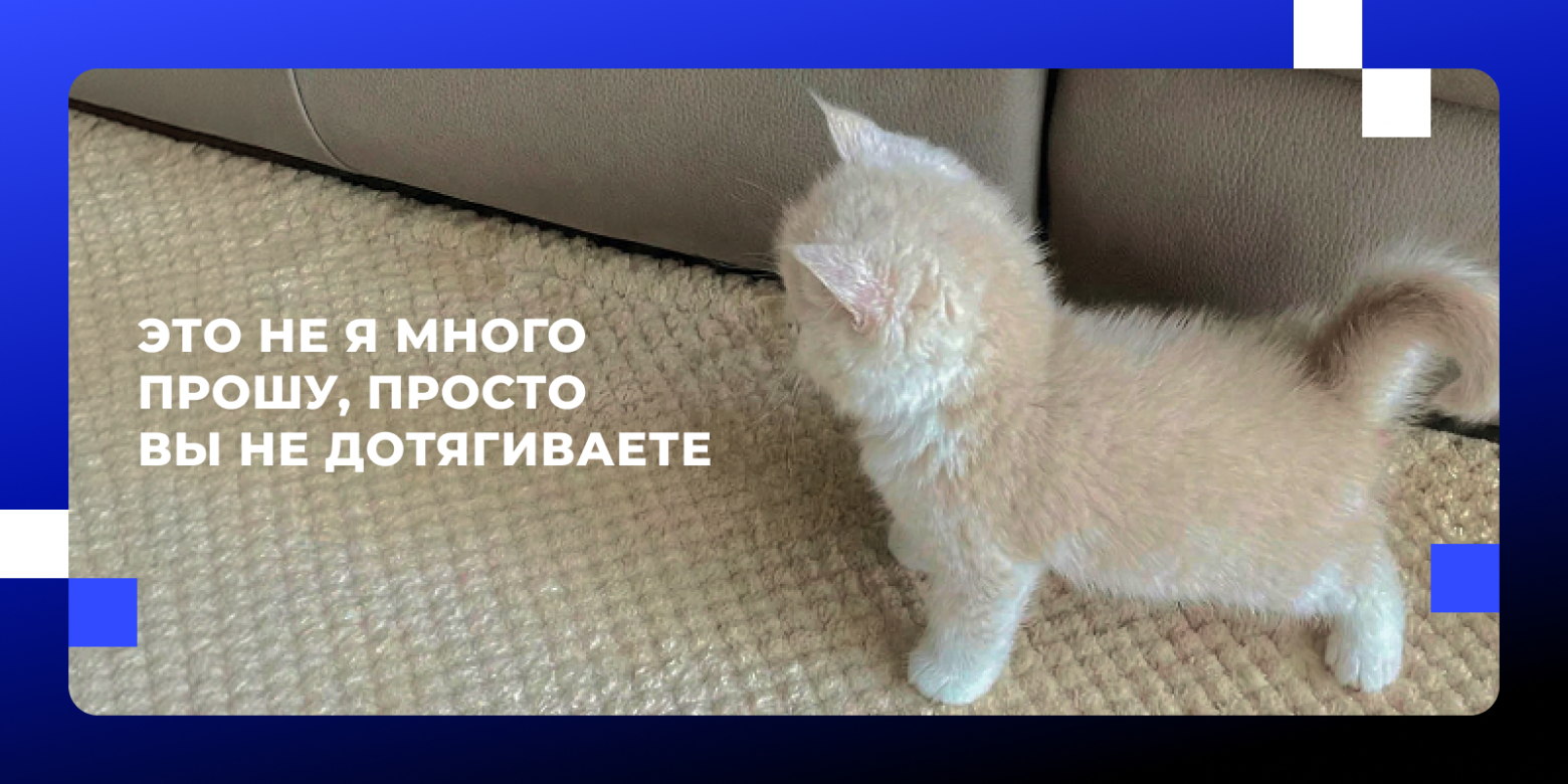 Менторство новичка в ИТ: как превратить испытательный срок в период взлета? - 2