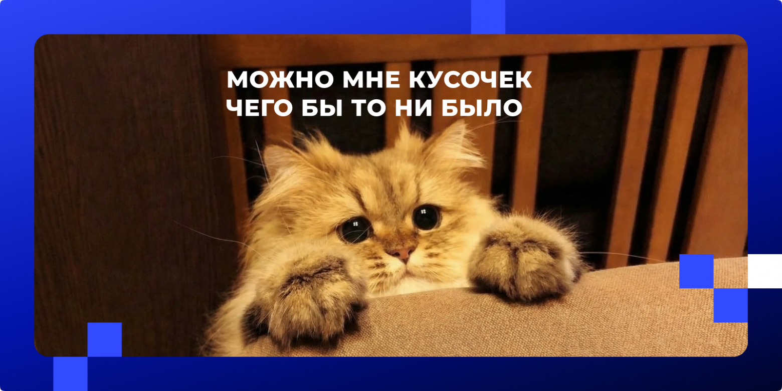 Менторство новичка в ИТ: как превратить испытательный срок в период взлета? - 3