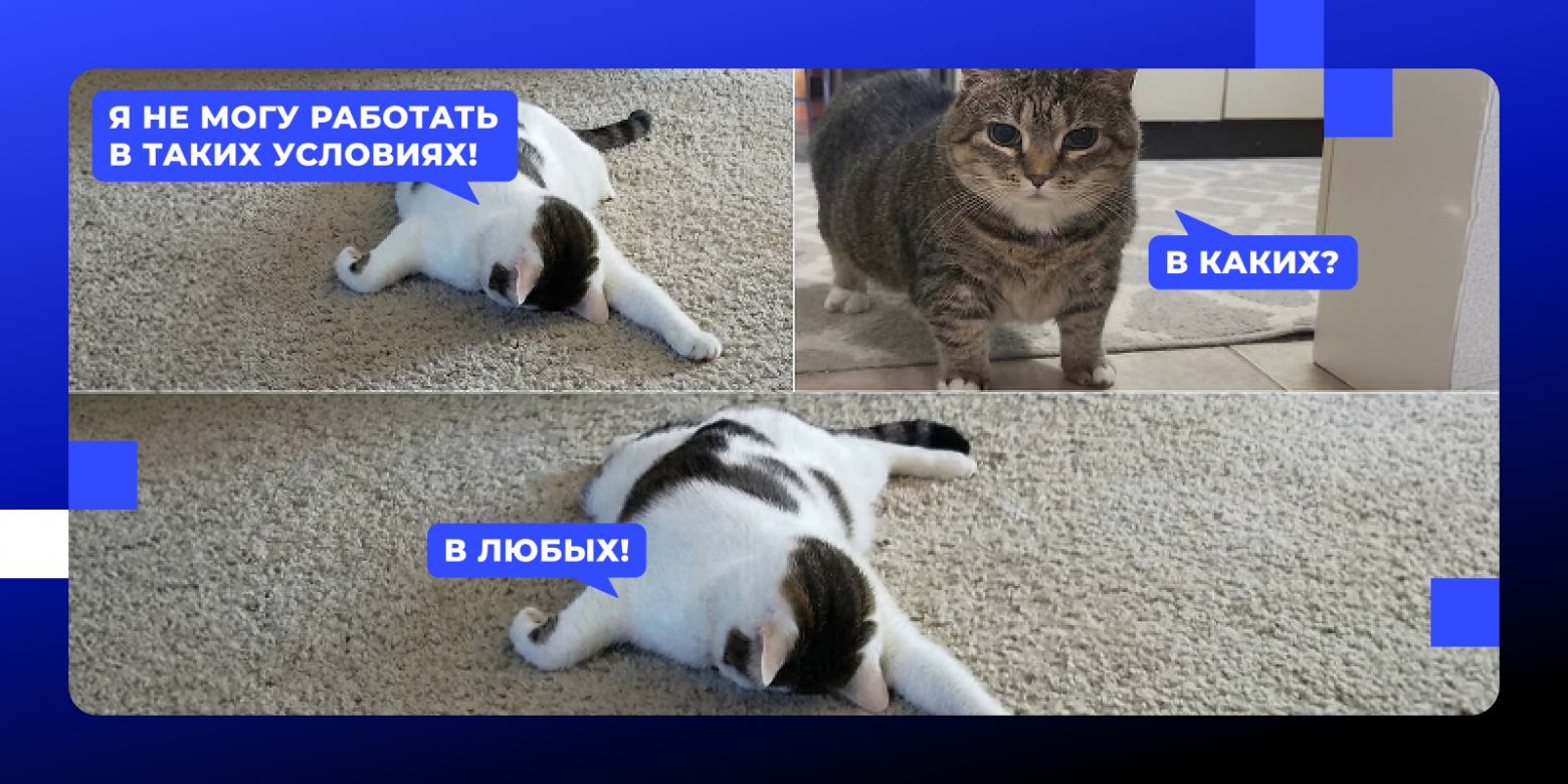 Менторство новичка в ИТ: как превратить испытательный срок в период взлета? - 5