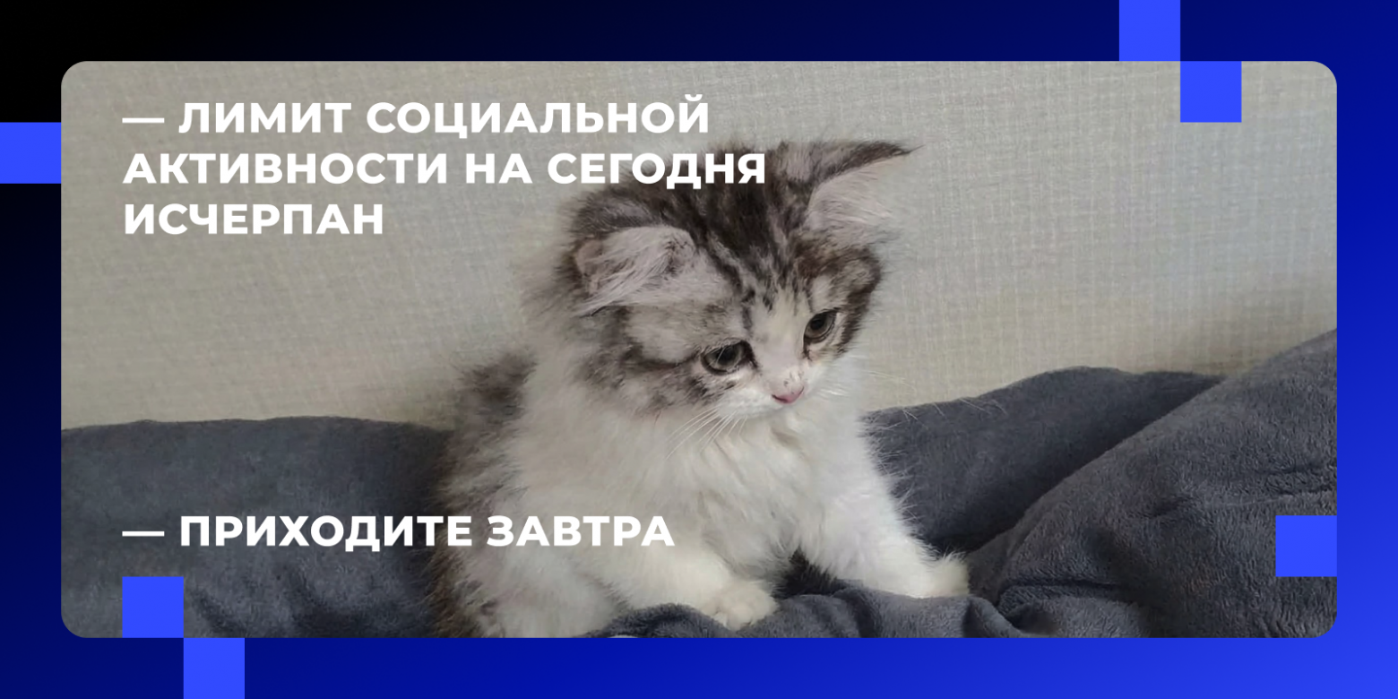 Менторство новичка в ИТ: как превратить испытательный срок в период взлета? - 1