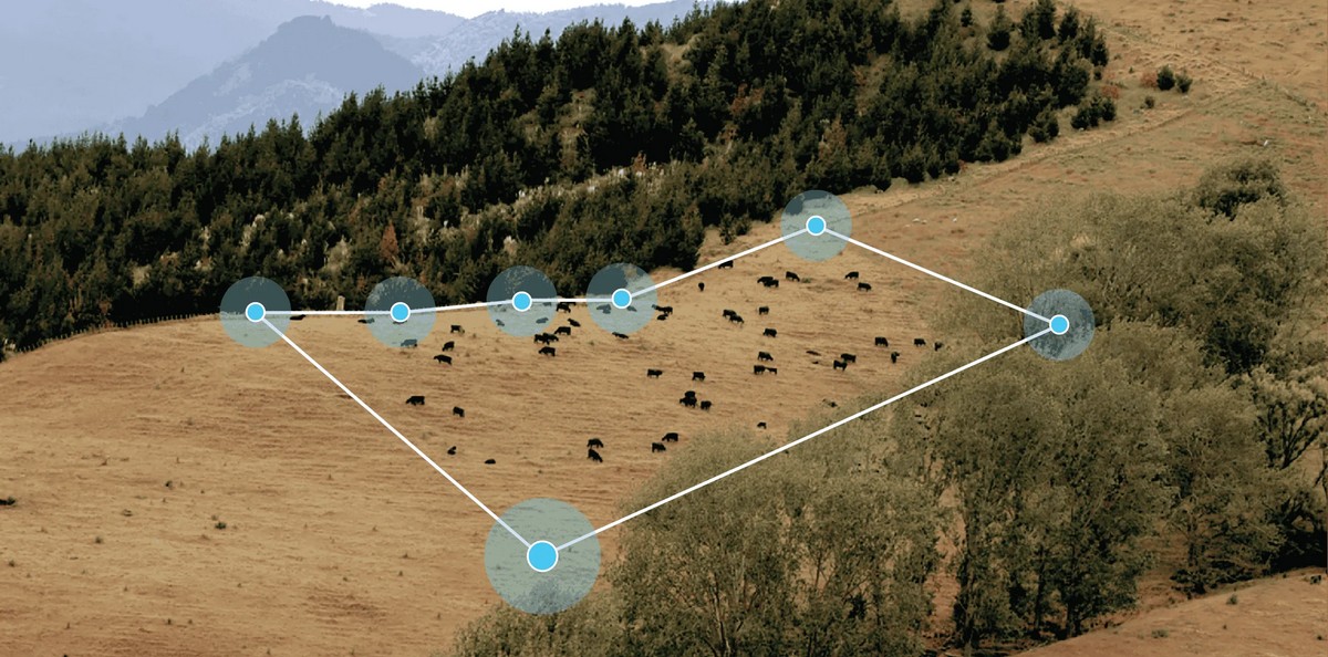 Владелец Palantir инвестировал в стартап по производству умных ошейников для коров Halter - 2