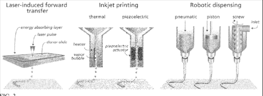 Схема из патента US11564790B2 