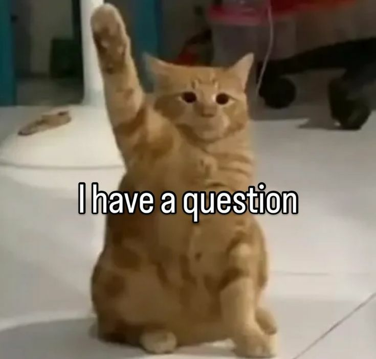 Как адаптироваться на новой работе - 4