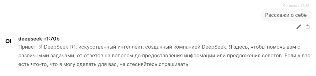 Как установить DeepSeek на сервере: практическое руководство - 9