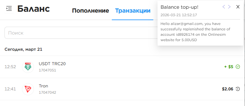 Установка Claude AI (Клод ИИ) Code на зарубежный VPS для обхода санкций и как купить подписку в России - 15