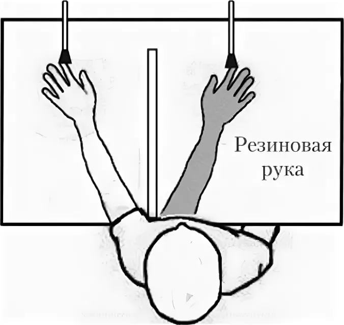 Эксперимент «Резиновая рука» - 1 Эксперимент «Резиновая рука» - 1