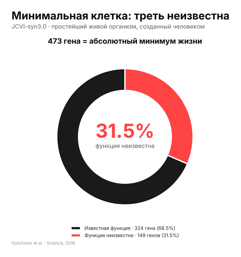 Обезьяна с автоклавом - 2