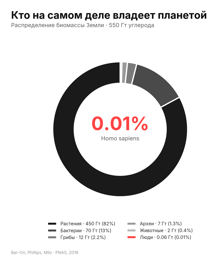 Обезьяна с автоклавом - 1