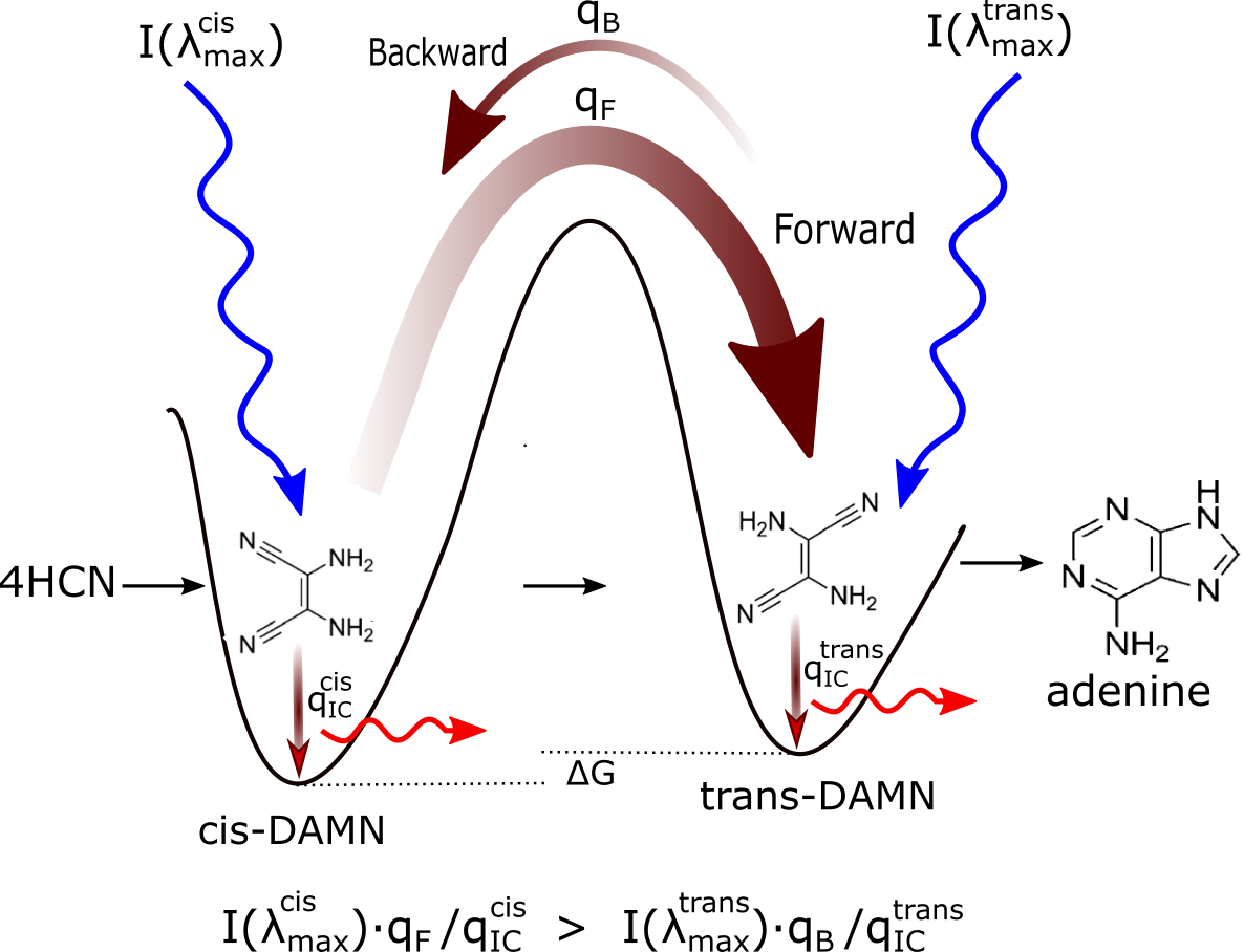 Механизм эволюции молекулярных структур в направлении всё большей эффективности диссипации фотонов (микроскопическое диссипативное структурирование) на пути к фундаментальным молекулам (в данном случае аденину). 