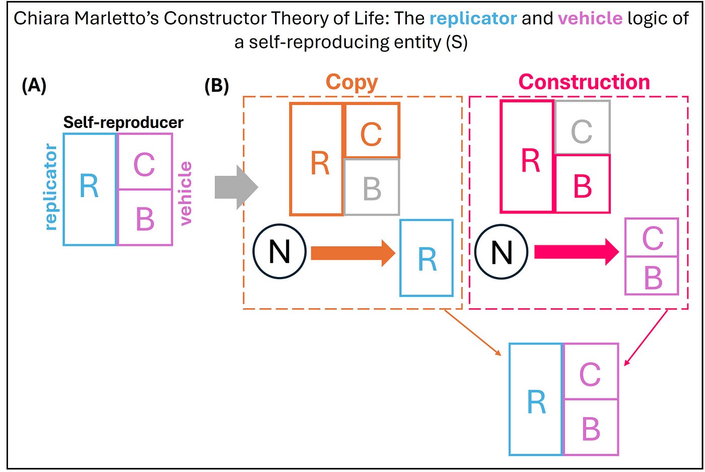 Самовоспроизводство по схеме "репликатор-носитель"