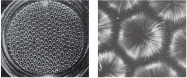 Ячейки Бенара