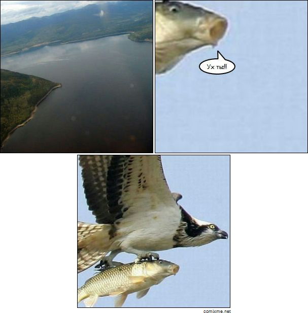 Любая из этих картинок совершенно непонятна без двух остальных