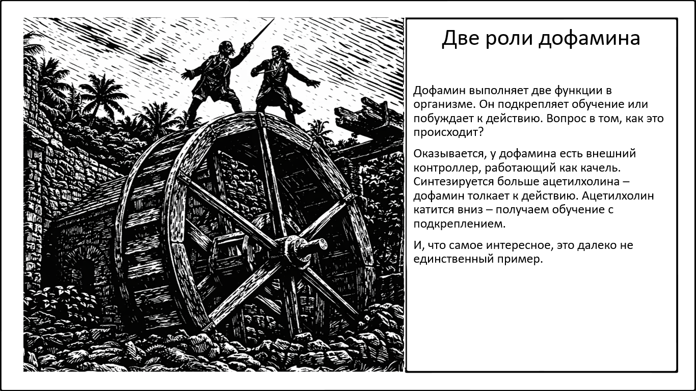 Ацетилхолин определяет роль дофамина - 1 Ацетилхолин определяет роль дофамина - 1