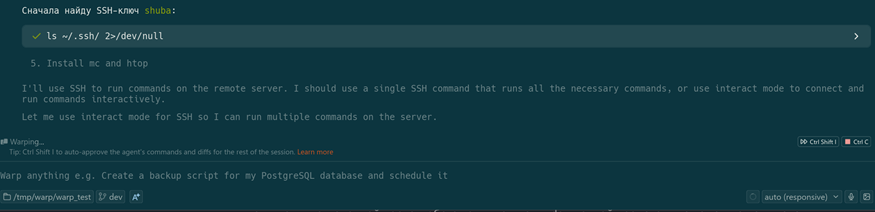 Первый опыт с Warp: медленный, но сообразительный помощник, который заставит вас глупеть - 26 Первый опыт с Warp: медленный, но сообразительный помощник, который заставит вас глупеть - 26