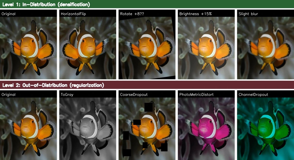 Сравнение аугментаций уровня 1 и уровня 2