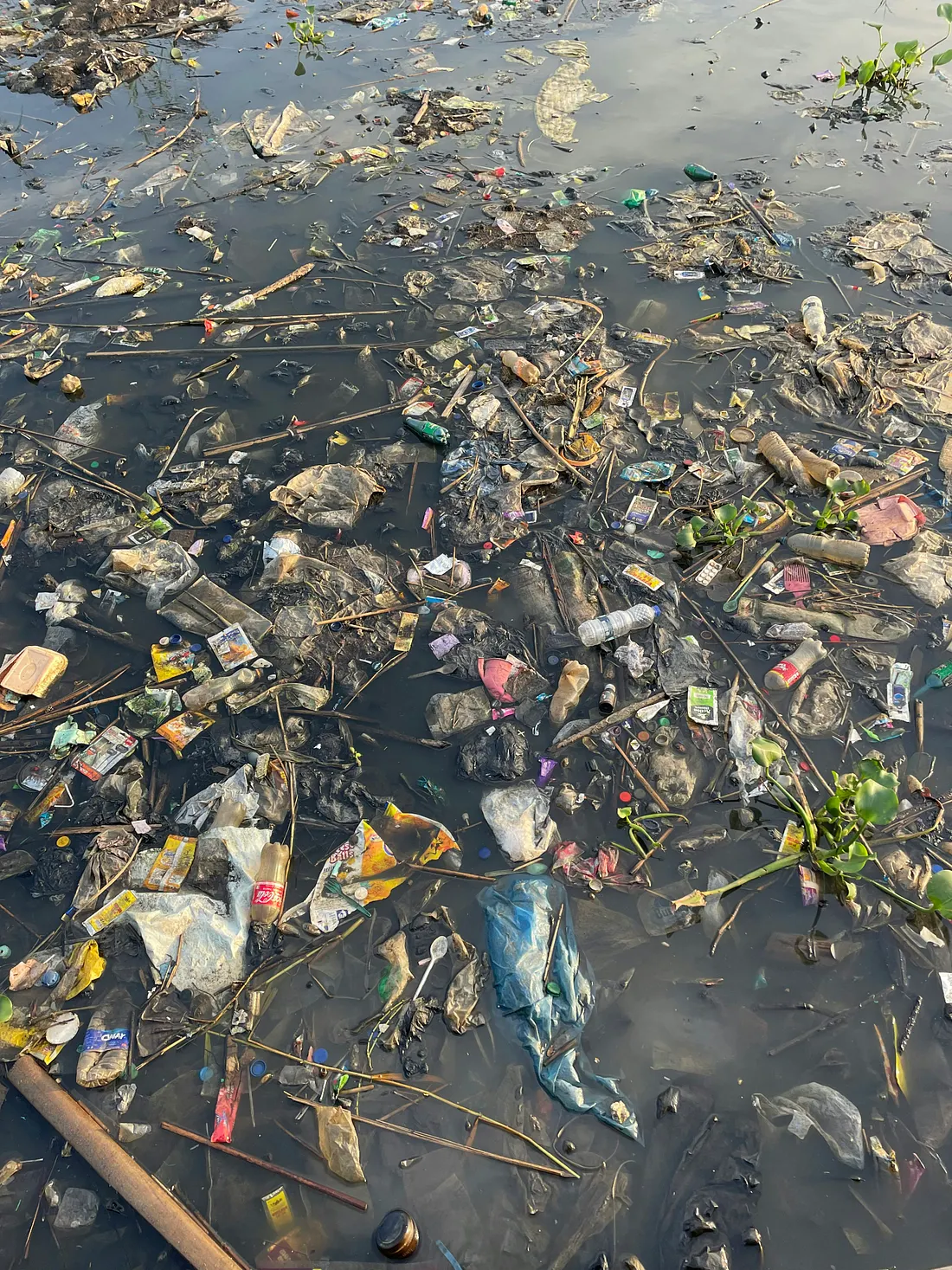 Как ИИ попал в нашу питьевую воду. И почему никто не знает, что с этим делать - 1