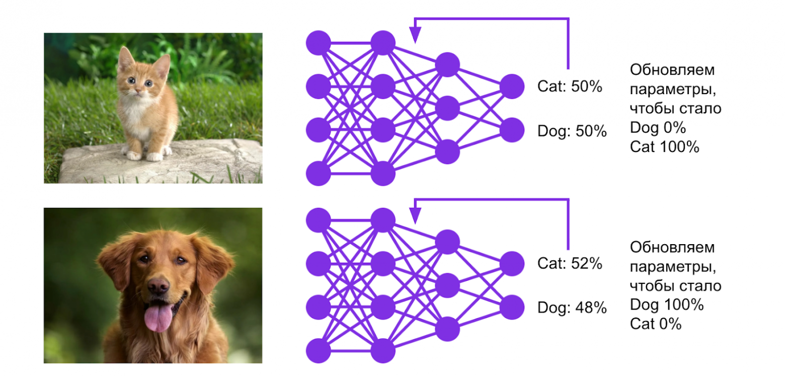 Как мы автоматизировали модерацию карточек товаров с помощью Computer Vision в Wildberries - 16