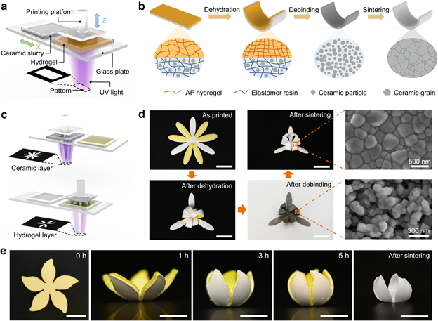 4D-печать и программируемые поверхности - 5 4D-печать и программируемые поверхности - 5