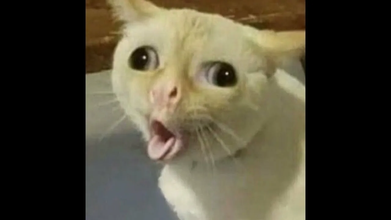 Три невероятно глупых вопроса от гуманитария о последствиях бесконечного генерирования ИИ-кода - 3