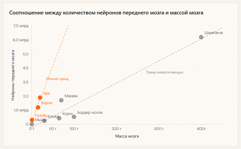 Оранжевые=птицы, серые=млекопитающие. Пунктирными линями показаны тренды. Птицы находятся гораздо выше кривой млекопитающих.