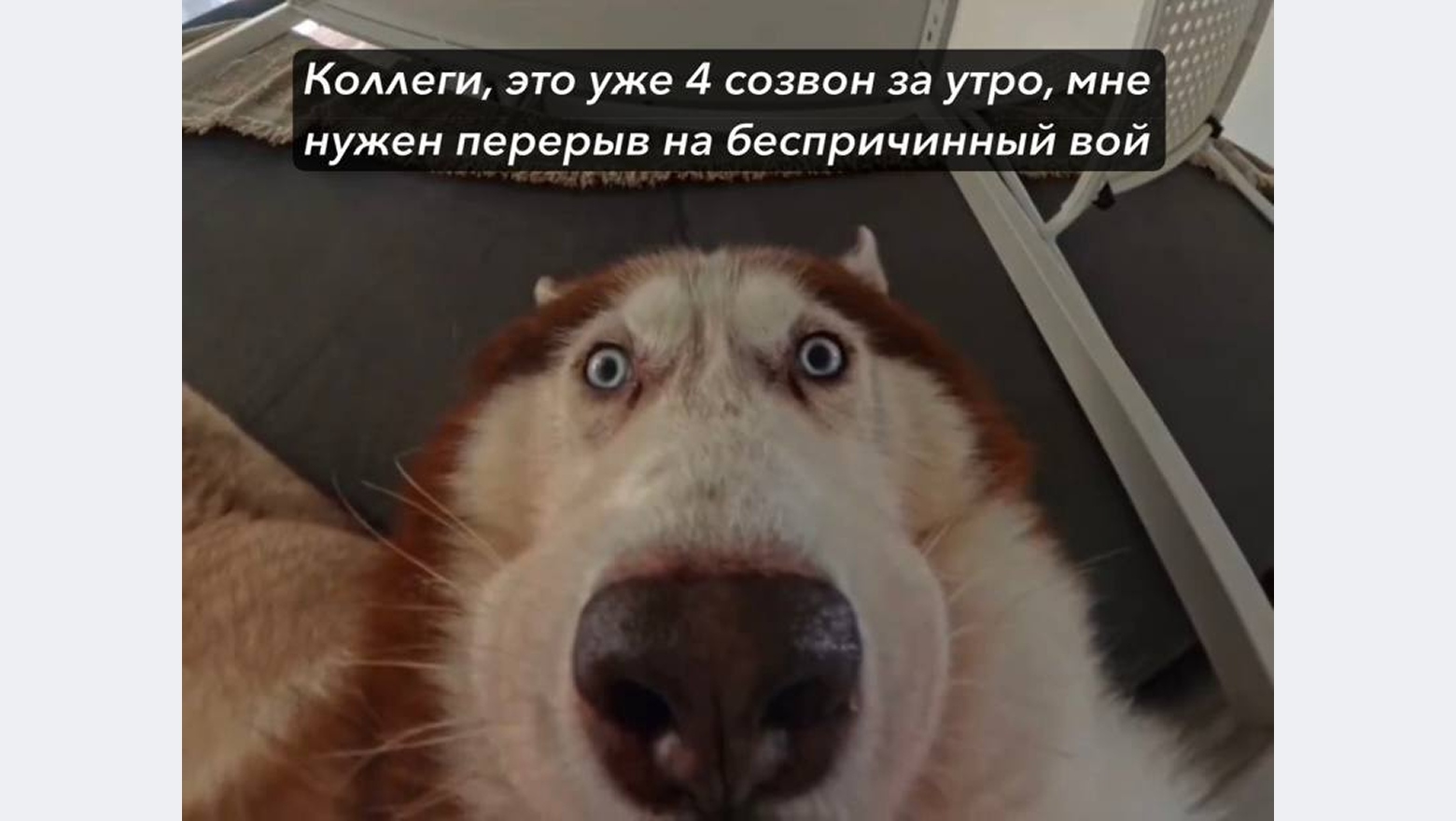 Тимлид в эпоху ИИ: кто он и почему одного крутого кода недостаточно - 11 Тимлид в эпоху ИИ: кто он и почему одного крутого кода недостаточно - 11