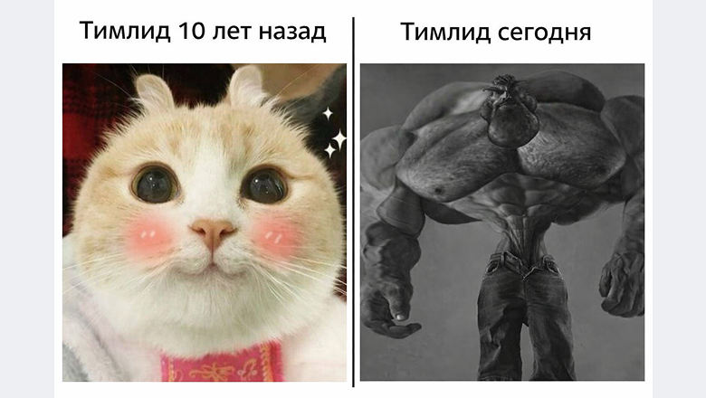 Тимлид в эпоху ИИ: кто он и почему одного крутого кода недостаточно - 1 Тимлид в эпоху ИИ: кто он и почему одного крутого кода недостаточно - 1