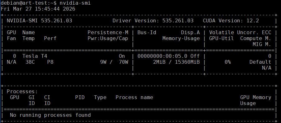 Рис. 6. Информация о карте GPU на сервере