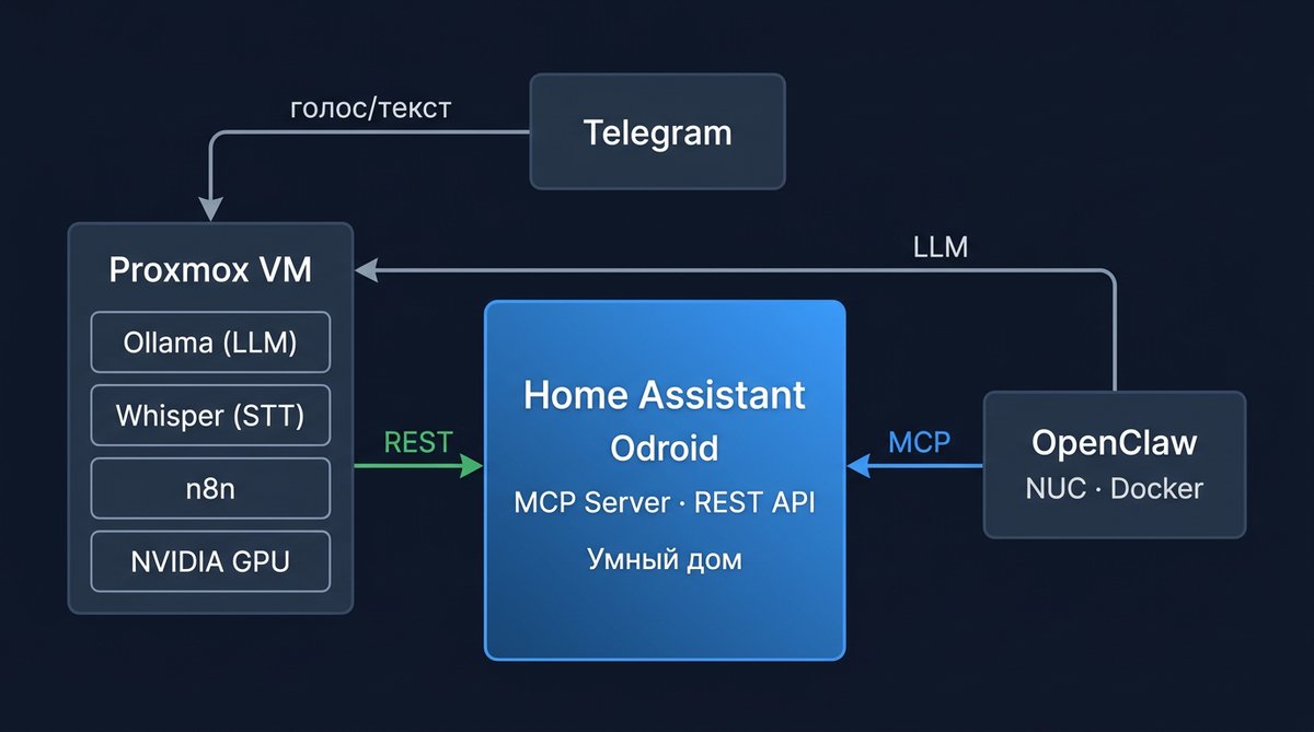 Схема архитектуры: Proxmox VM, NUC, Odroid