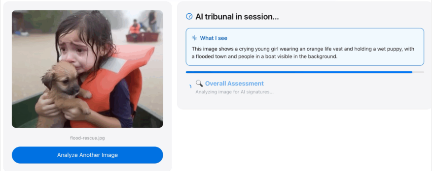 Анализ изображения, созданного нейросетью, на котором якобы показано спасение девочки во время наводнения в США. Изображение: Хенк ван Эсс