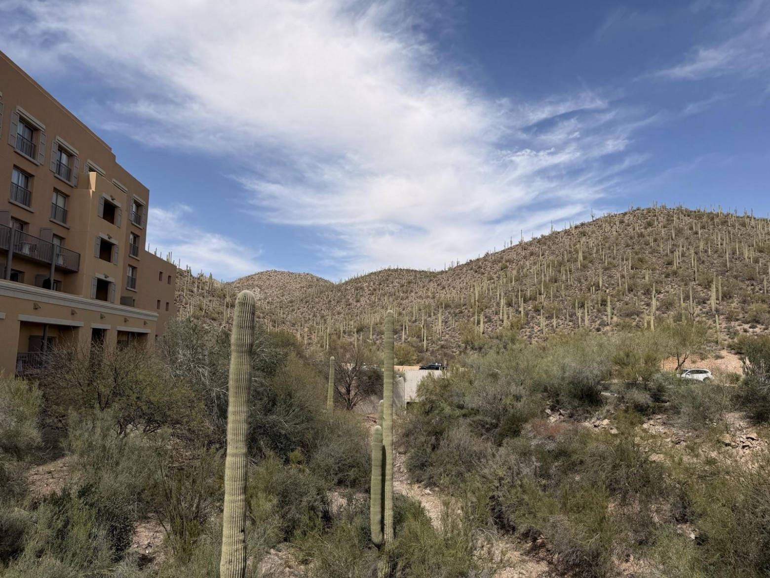 JW Marriott Starr Pass – venue конференции на фоне пустынных холмов