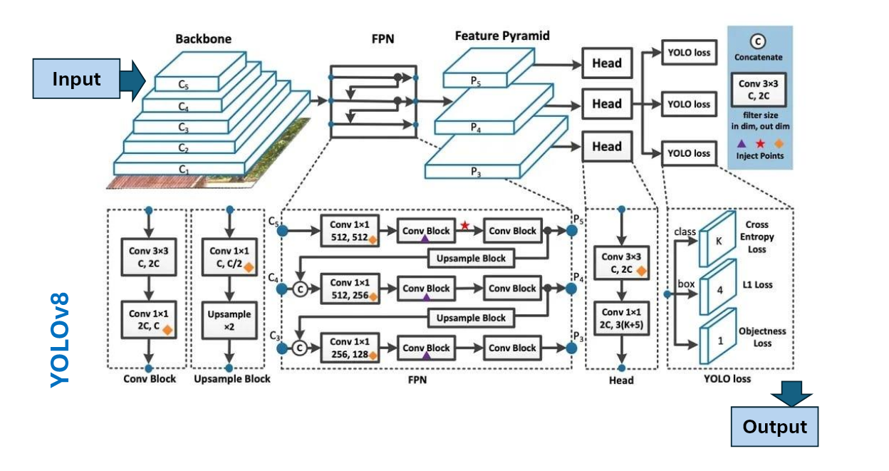 Пример архитектуры модели YOLOv8