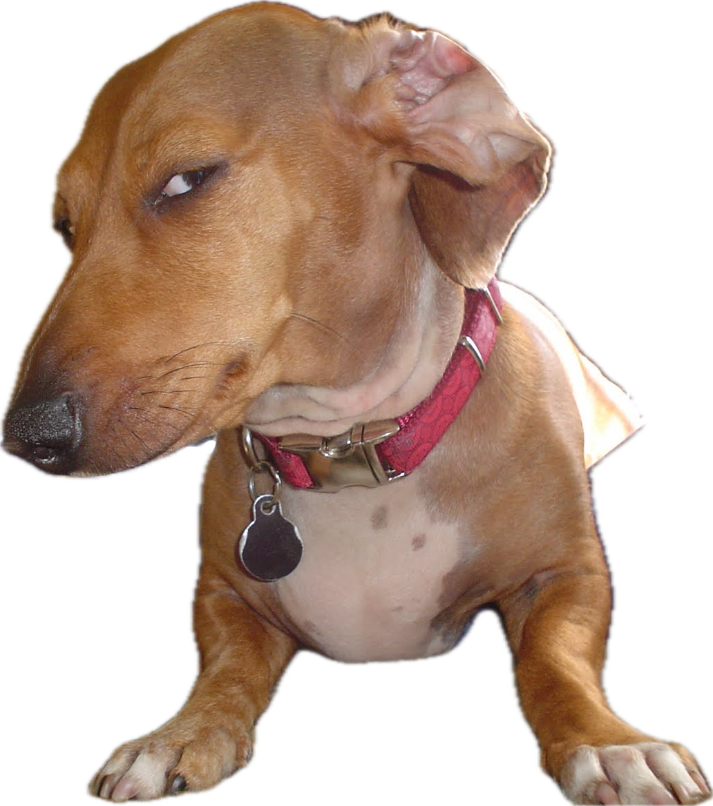 Роботы vs. Люди: Как ИИ изменил рекрутинг и почему это проблема для соискателей и HR - 5