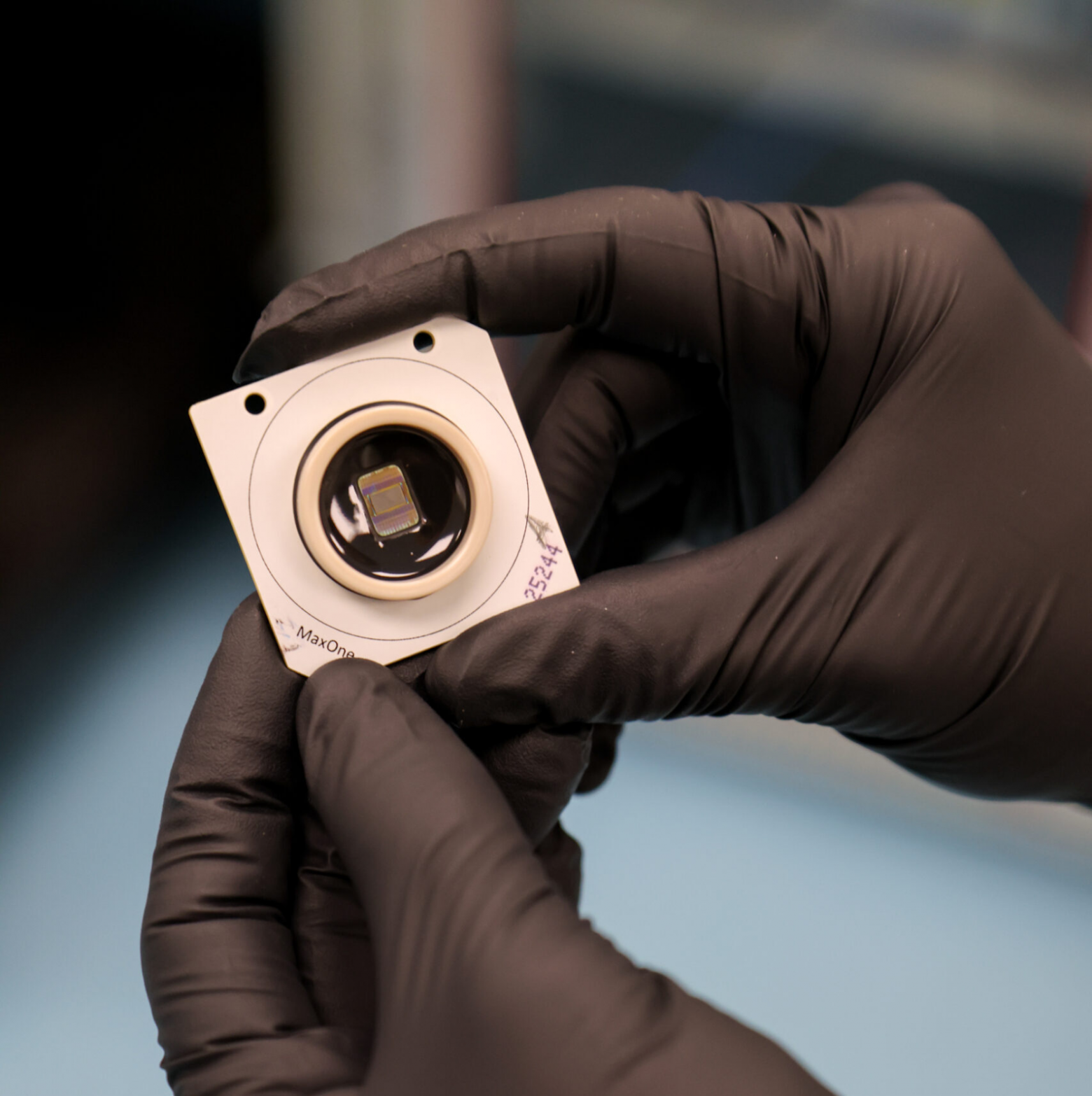 Органоиды размещали на специальных чипах. Источник