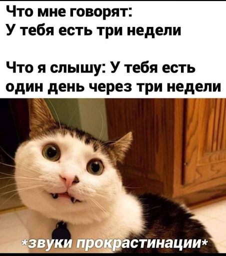 Почему после коротких видео и ленты так тяжело вернуться к нормальной работе - 4