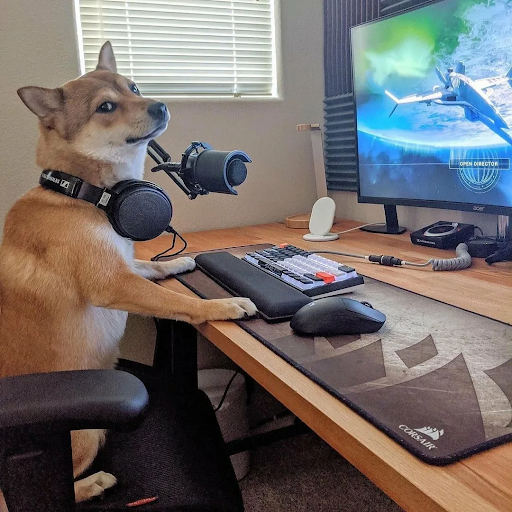 Почему после коротких видео и ленты так тяжело вернуться к нормальной работе - 1