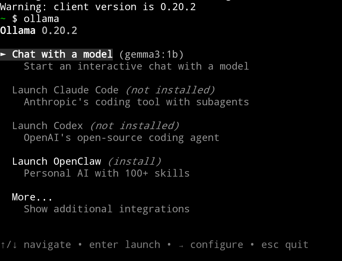 Вошли в консоль управления Ollama