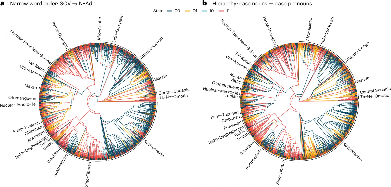 Столь разные, но столь похожие: лингвистические универсалии - 5