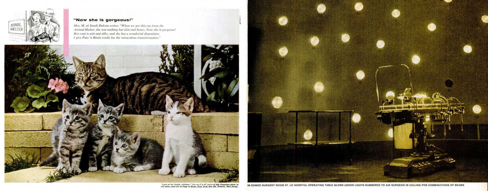 Гаражная вера или почему Одним всё, а другим ничего. Обзор книги Малкольма Гладуэлла «Гении и аутсайдеры». Часть I-III - 5