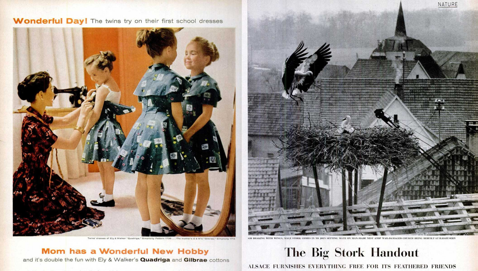 Гаражная вера или почему Одним всё, а другим ничего. Обзор книги Малкольма Гладуэлла «Гении и аутсайдеры». Часть I-III - 7