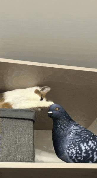 Генерация видео с помощью Wan2.2: установка и первые впечатления - 10